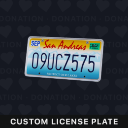 Custom License Plate
