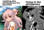FB_IMG_1647753013599.jpg
