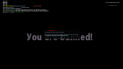 1737044771859.png