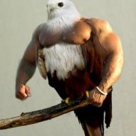 Adrian