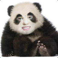 mr.panda