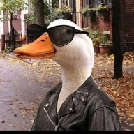 JimmyGoose