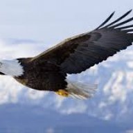 Kushtrm Eagles