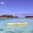Alem_Johnson
