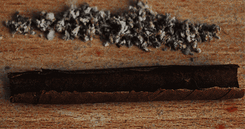 d8246a1a8fd4ed0dffe0b3d3e99b9dbf.500x264x8.gif