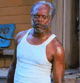 tumblr_lt922zt11S1r0ftodo1_250.gif