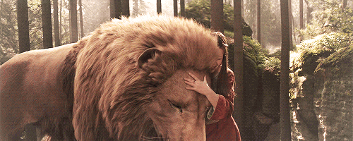 tumblr_ogjjs5naME1rnx2kbo1_500.gif