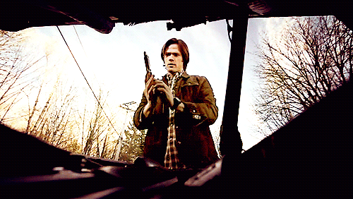 tumblr_n89i0ySK4x1tfo43go3_500.gif