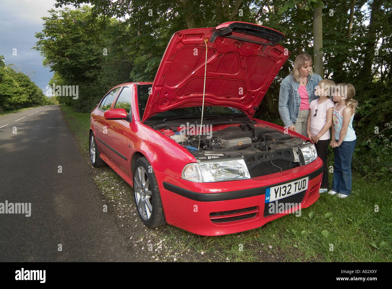 family-with-a-broken-down-car-awaiting-assistance-A02XXY.jpg